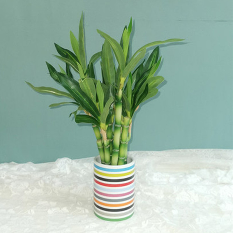Nieuwe 40cm kunstmatige geluks - Outdoor Furniture Green recensie en prijs